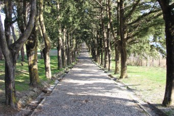 Rhodos 2017.11.1 104 (Medium)