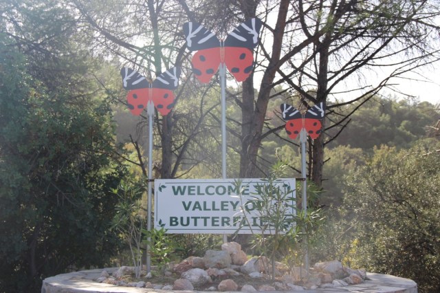 Rhodos 2017.11.1 264 (Medium)